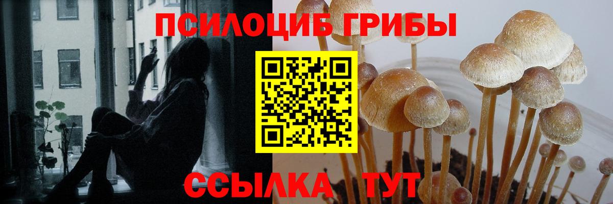 Псилоцибиновые грибы Magic Shrooms  Вход с VPN  Фролово 